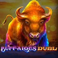 Buffaloes Duel Rtp Hari Ini RTPBET 77 GAMEART