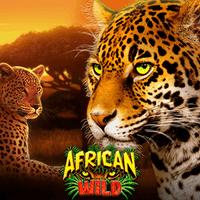 African Wild SUNTIK RTP RTPBET 77 GMW