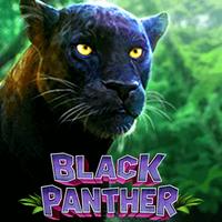 rtp slot gacor GMW Black Panther