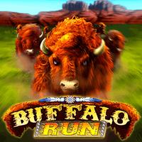Rtp RTPBET77 GMW Buffalo Run
