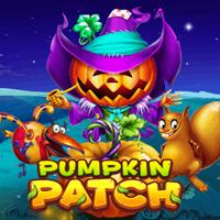 Pumpkin Patch Link Rtp Slot RTPBET 77 HABANERO