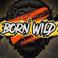 Rtp Hari Ini HACKSAW Born Wild