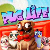 Pug Life rtp slot RTPBET 77 hari ini HACKSAW