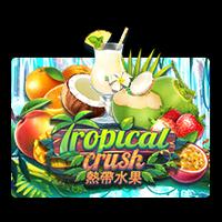Tropical Crush SUNTIK RTP SLOT TERBAIK 2025 JOKER