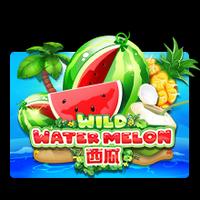 Rtp Slot Gacor Hari Ini RTPBET 77 JOKER Wild Watermelon