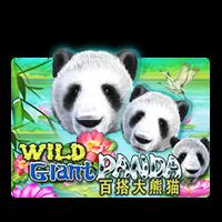 Wild Giant Panda RTPBET77 RTP JOKER