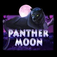 RTP HARI INI JOKER Panther Moon