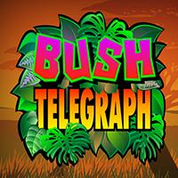 RTPBET77 rtp MICROGAMING Bush Telegraph