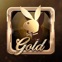 Rtp Live MICROGAMING Playboy Gold