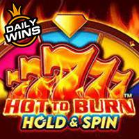 Rtp Live Hot to Burn Hold and Spin