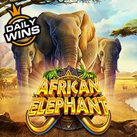 rtp slot hari ini RTPBET 77 African Elephant