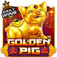 Suntik Rtp RTPBET 77 Golden Pig