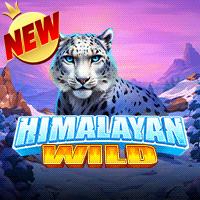 Himalayan Wild Rtp Slot RTPBET77 Terpercaya