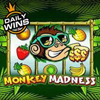 Monkey Madness suntik rtp slot terbaik 2025 RTPBET 77