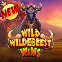 Wild Wildebeest Wins Situs Gacor RTPBET77 Rtp