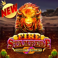Fire Stampede RTPBET 77 RTP